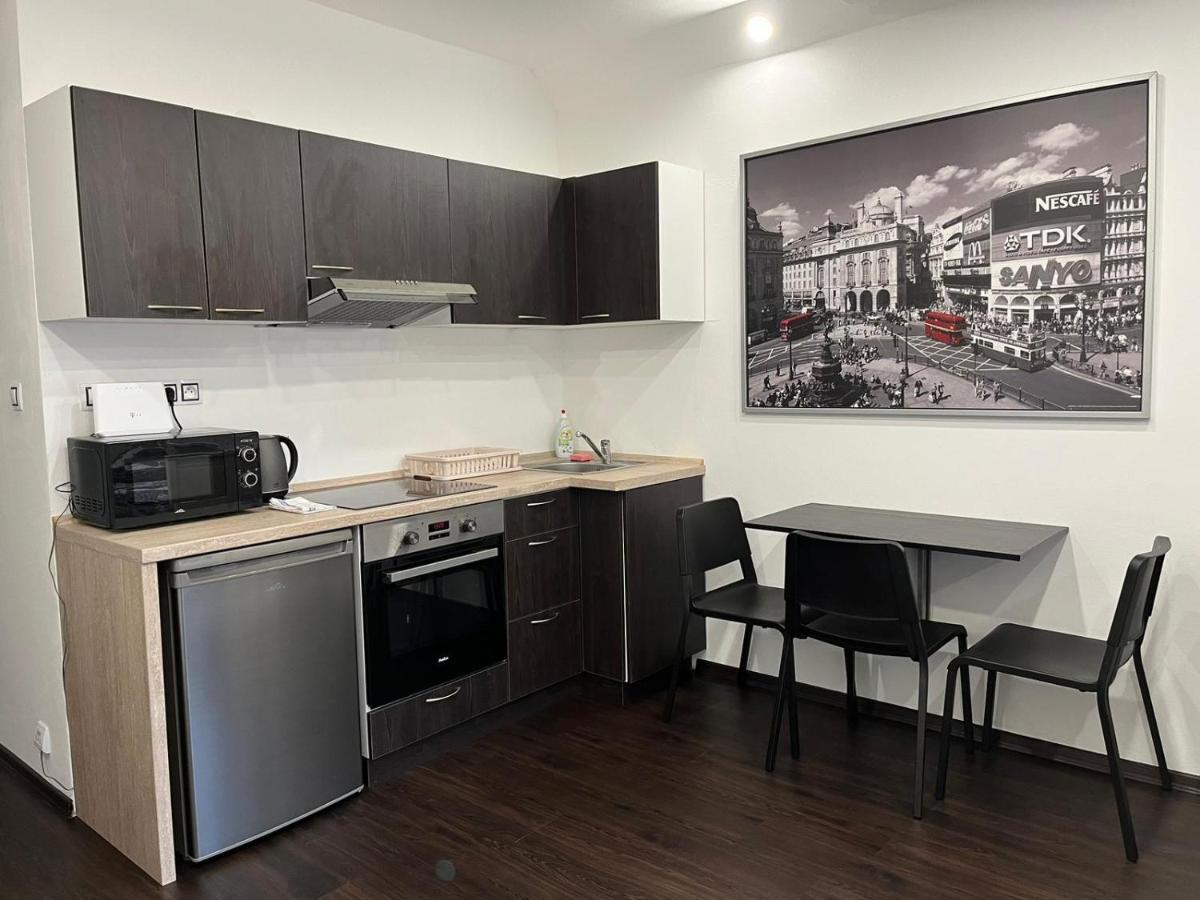 Apartment Charkovska カルロヴィ・ヴァリ エクステリア 写真